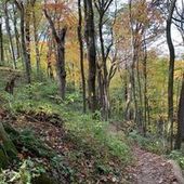 User avatar for Nichole Monzon