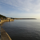 User avatar for Andy De Sadeleer