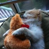 User avatar for May Au