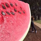 User avatar for Colleen Ning