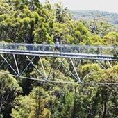 User avatar for Ben Newman