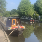 User avatar for Anne Colley