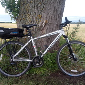 User avatar for Alan Riozzi