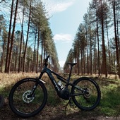 User avatar for Steve Shepherd