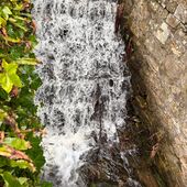 User avatar for Kenny Mc Nicol