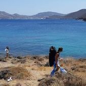 User avatar for Alana Aragon Zulke