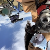 User avatar for Amalia Miller