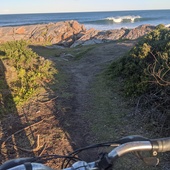 User avatar for Marcella Levey