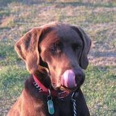 User avatar for Adam Lee