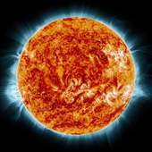 User avatar for Neil Campbell