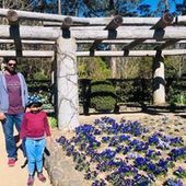 User avatar for Vineeth Chenamangalam