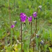 User avatar for Amy Ochandio