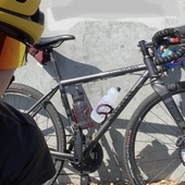 User avatar for Arleen Winkelbauer