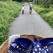 User avatar for Lucy Marshall