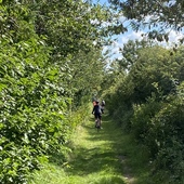 User avatar for Vikki Robins