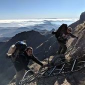 User avatar for Cameron Scott