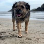 User avatar for Aimee Barrable