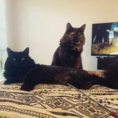 User avatar for Dhy Edwardsberry