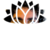 User avatar for Charles ChylzChuckChaz