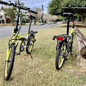 User avatar for Angie Tan Dominic