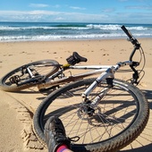 User avatar for Mike Faine