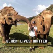 User avatar for Abigail Elaine