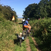 User avatar for Martin Smith