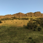 User avatar for Allister Short