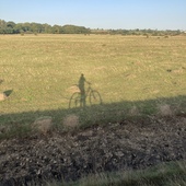 User avatar for Anna Appleyard