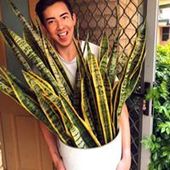 User avatar for Callum Sinclair