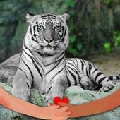 User avatar for Paula Parker