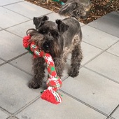 User avatar for Christie Kahukiwa