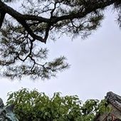 User avatar for Jay Paik