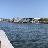 User avatar for Adrian Killick