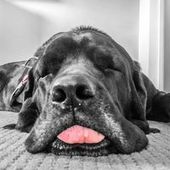 User avatar for Rodrigo Garcia