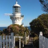 User avatar for Sharon Nowlan