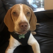 User avatar for Mel Amoroso