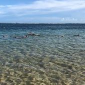 User avatar for Jenny Crane