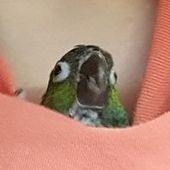 User avatar for Jacson Patrick