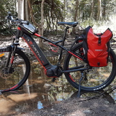 User avatar for Bruce Sugars