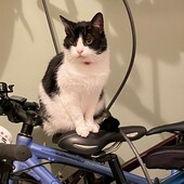 User avatar for Sarah Benham