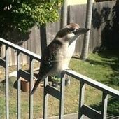 User avatar for Marcus Walker