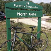 User avatar for Alexandra Wright