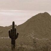 User avatar for Chris Hardbeck