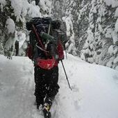 User avatar for Ryan Sager