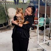 User avatar for Thanh Luong