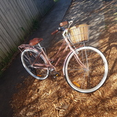 User avatar for Greg Smallwood