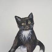 User avatar for Andrew Harrington