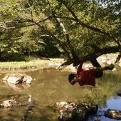 User avatar for Kevin Zeng