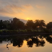 User avatar for Walter R Melnyczenko